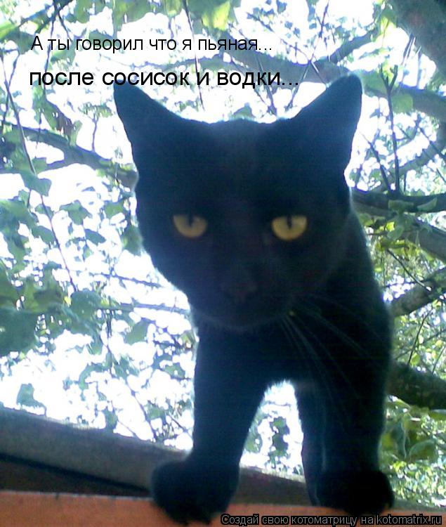 А ты говорил что я пьяная... после сосисок и водки...... Котоматрица: А ты говорил что я пьяная... после сосисок и водки...