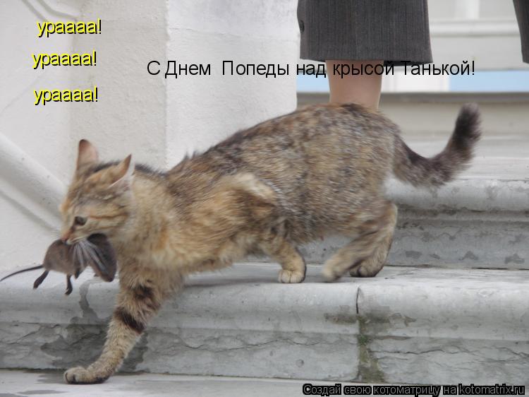 ураааа! ураааа! ураааа! С Днем Попеды над крысой Танькой!... Котоматрица: ураааа! ураааа! ураааа! С Днем Попеды над крысой Танькой!