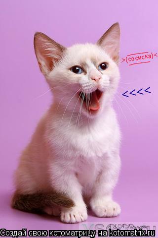 .>(сосиска)<. ______ ______ <<<<... Котоматрица: .>(сосиска)<. ______ ______ <<<<