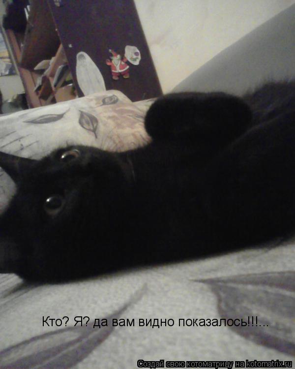 Кто? Я? да вам видно показалось!!!...... Котоматрица: Кто? Я? да вам видно показалось!!!...