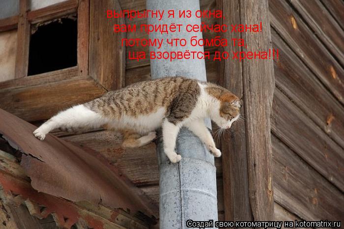 выпрыгну я из окна, вам придёт сейчас хана! потому что бомба та, ща взорвётся до хрена!!!... Котоматрица: выпрыгну я из окна, вам придёт сейчас хана! потому что бомба та, ща взорвётся до хрена!!!