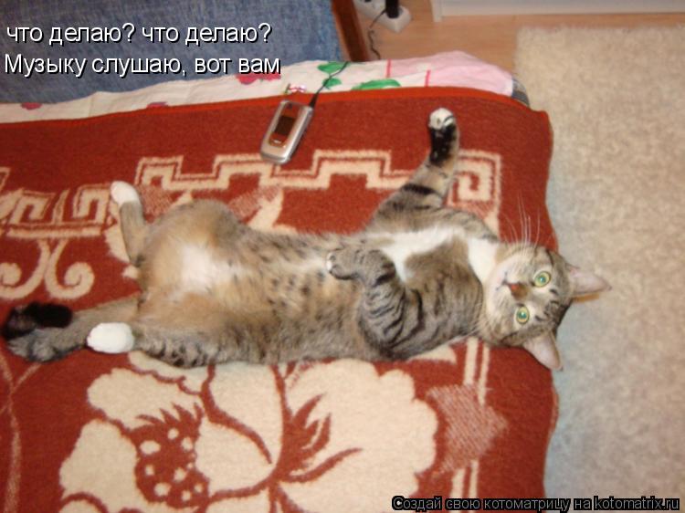 Котоматрица: что делаю? что делаю? Музыку слушаю, вот вам