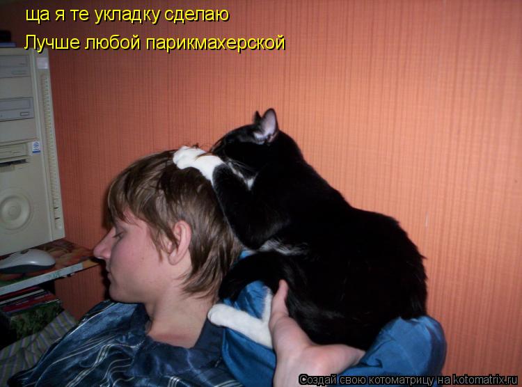 Котоматрица: ща я те укладку сделаю Лучше любой парикмахерской