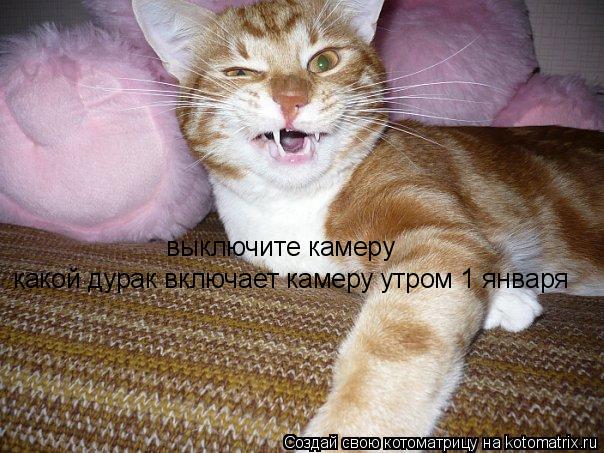 Котоматрица: выключите камеру какой дурак включает камеру утром 1 января