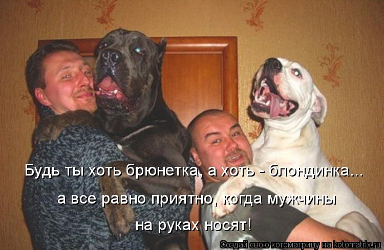 Будь ты хоть брюнетка, а хоть - блондинка... а все равно приятно, когда мужчины на руках носят!... Котоматрица: Будь ты хоть брюнетка, а хоть - блондинка... а все равно приятно, когда мужчины на руках носят!