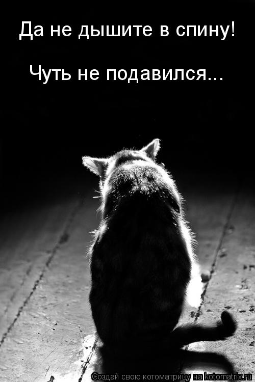 Да не дышите в спину Да не дышите в спину! Чуть не подавился...... Котоматрица: Да не дышите в спину Да не дышите в спину! Чуть не подавился...