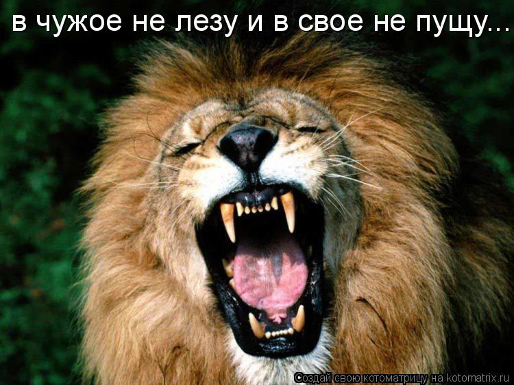 в чужое не лезу и в свое не пущу...... Котоматрица: в чужое не лезу и в свое не пущу...