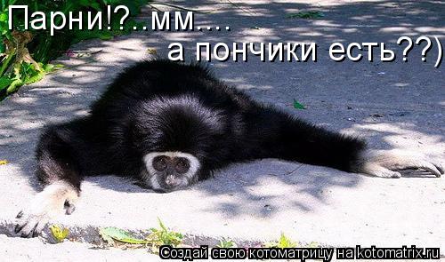 Парни!?..мм.... а пончики есть??)... Котоматрица: Парни!?..мм.... а пончики есть??)