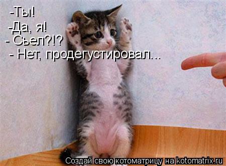 -Ты! -Да, я! - Сьел?!? - Нет, продегустировал...... Котоматрица: -Ты! -Да, я! - Сьел?!? - Нет, продегустировал...