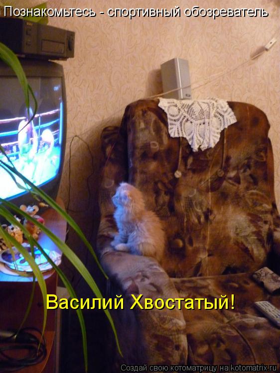 Познакомьтесь - спортивный обозреватель Василий Хвостатый!... Котоматрица: Познакомьтесь - спортивный обозреватель Василий Хвостатый!
