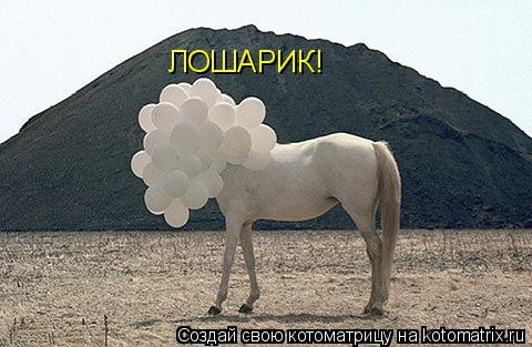 ЛОШАРИК!... Котоматрица: ЛОШАРИК!