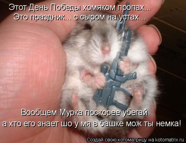 Этот День Победы хомяком пропах... Это праздник... с сыром на устах... Вообщем Мурка поскорее убегай ... Котоматрица: Этот День Победы хомяком пропах... Это праздник... с сыром на устах... Вообщем Мурка поскорее убегай а хто его знает шо у мя в башке мож ты немка