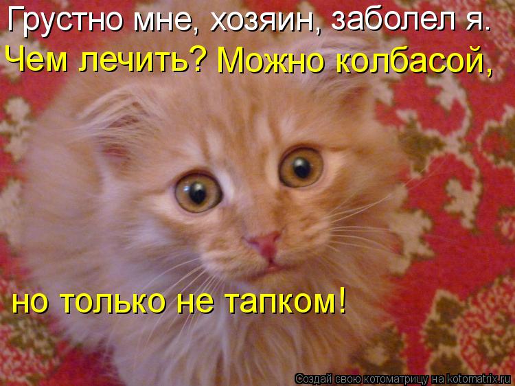Грустно мне, хозяин, заболел я. Чем лечить? Можно колбасой, но только не тапком!... Котоматрица: Грустно мне, хозяин, заболел я. Чем лечить? Можно колбасой, но только не тапком!