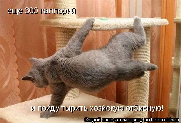 еще 300 каллорий.. и пойду тырить хозйскую отбивную!... Котоматрица: еще 300 каллорий.. и пойду тырить хозйскую отбивную!