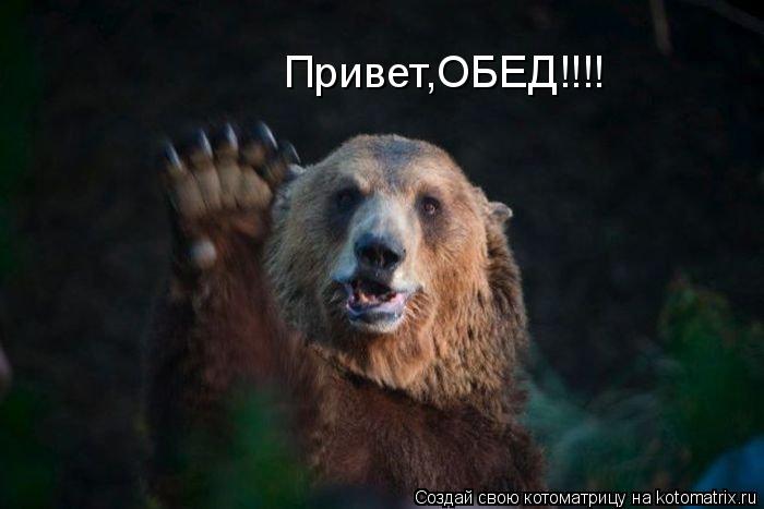 Привет,ОБЕД!!!!... Котоматрица: Привет,ОБЕД!!!!