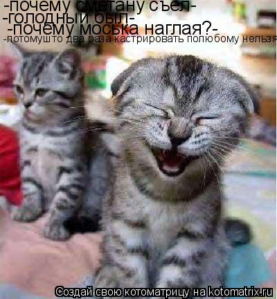 -почему сметану съел- -голодный был- -почему моська наглая?- -потомушто два раза кастрировать полюбом... Котоматрица: -почему сметану съел- -голодный был- -почему моська наглая?- -потомушто два раза кастрировать полюбому нельзя-