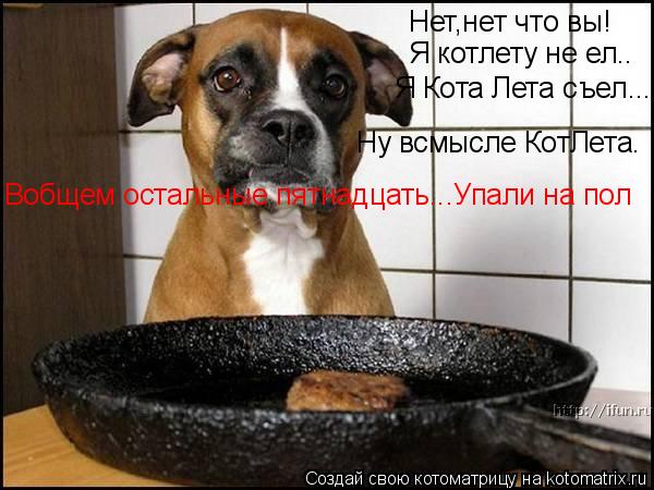 Нет,нет что вы! Я котлету не ел.. Я Кота Лета съел... Ну всмысле КотЛета. Вобщем остальные пятнадцать... Котоматрица: Нет,нет что вы! Я котлету не ел.. Я Кота Лета съел... Ну всмысле КотЛета. Вобщем остальные пятнадцать...Упали на пол