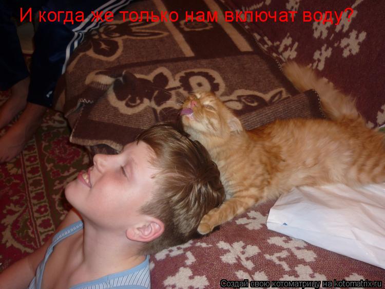 Котоматрица: И когда же только нам включат воду?