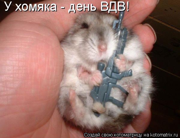 Котоматрица: У хомяка - день ВДВ!