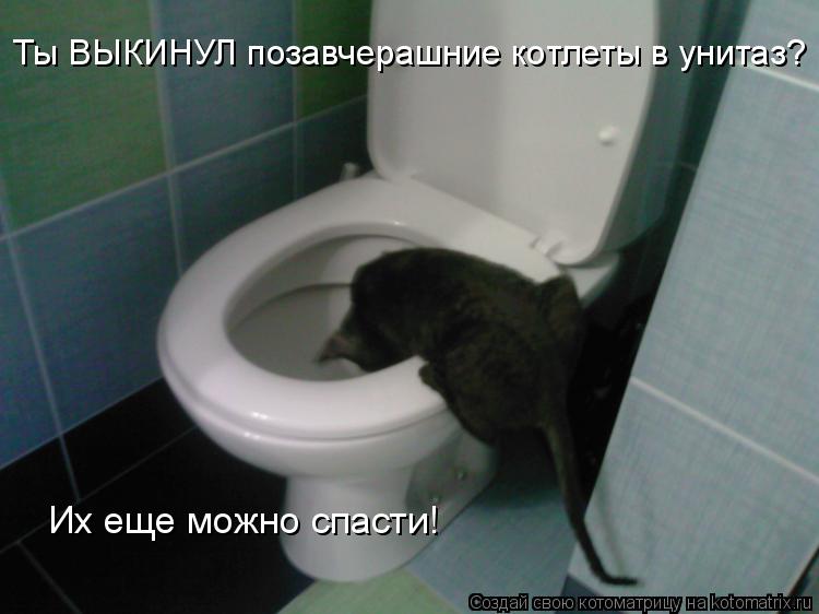 Ты ВЫКИНУЛ позавчерашние котлеты в унитаз? Их еще можно спасти!... Котоматрица: Ты ВЫКИНУЛ позавчерашние котлеты в унитаз? Их еще можно спасти!