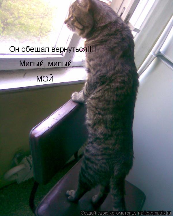 Он обещал вернуться!!!! Он обещал вернуться!!!! Милый, милый..... МОЙ... Котоматрица: Он обещал вернуться!!!! Он обещал вернуться!!!! Милый, милый..... МОЙ