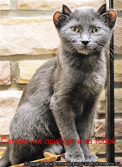 Сатана-кот прийдет и за тобой... Котоматрица: Сатана-кот прийдет и за тобой