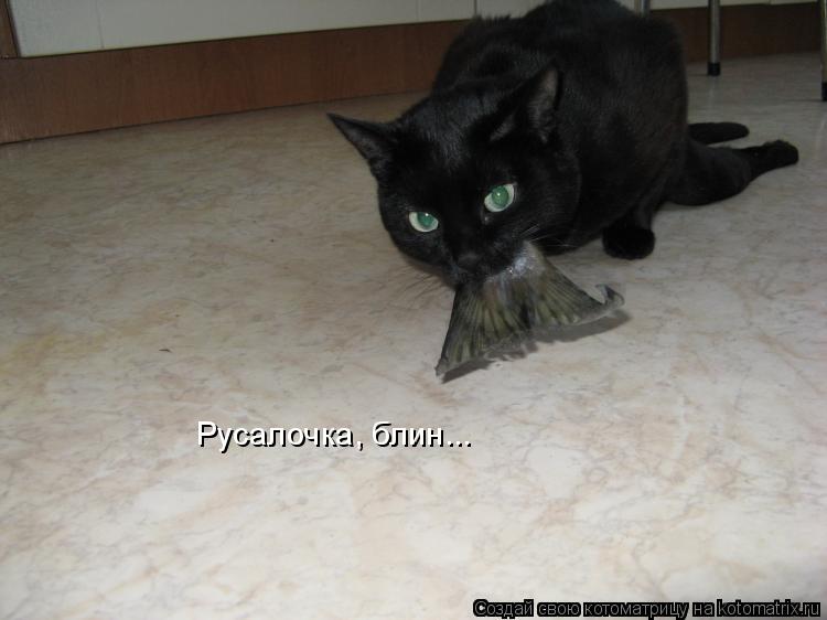 Русалочка, блин...... Котоматрица: Русалочка, блин...