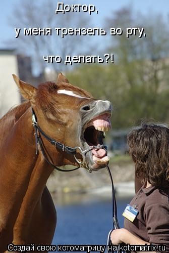 Доктор, у меня трензель во рту, у меня трензель во рту, что делать?!... Котоматрица: Доктор, у меня трензель во рту, у меня трензель во рту, что делать?!