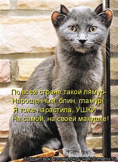 По всей стране такой лямур- Нарощенный, блин, гламур! Я тоже нарастила..УШКИ На самой, на своей макуш... Котоматрица: По всей стране такой лямур- Нарощенный, блин, гламур! Я тоже нарастила..УШКИ На самой, на своей макушке!