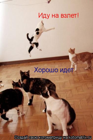 Иду на взлет! Хорошо идет... Котоматрица: Иду на взлет! Хорошо идет