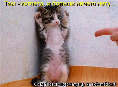 Там - котлета..и больше ничего нету...... Котоматрица: Там - котлета..и больше ничего нету...