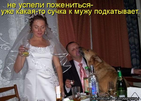 не успели пожениться- уже какая-то сучка к мужу подкатывает...... Котоматрица: не успели пожениться- уже какая-то сучка к мужу подкатывает...