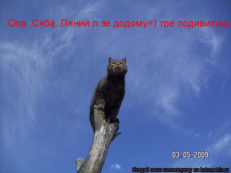 Опа..Сяба..Пяний лізе додому=) тре подивитись... Котоматрица: Опа..Сяба..Пяний лізе додому=) тре подивитись