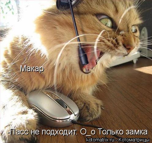 Макар -Пасс не подходит. О_о Только замка... Котоматрица: Макар -Пасс не подходит. О_о Только замка