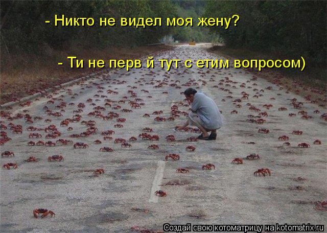 - Никто не видел моя жену? - Ти не первій тут с етим вопросом)... Котоматрица: - Никто не видел моя жену? - Ти не первій тут с етим вопросом)
