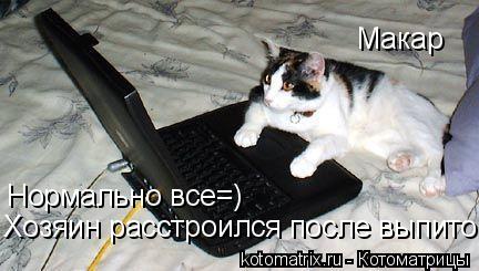 Нормально все=) Хозяин расстроился после выпитого=) Макар... Котоматрица: Нормально все=) Хозяин расстроился после выпитого=) Макар
