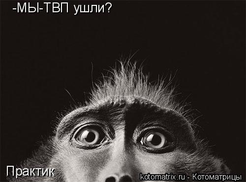 -МЫ-ТВП ушли? Практик... Котоматрица: -МЫ-ТВП ушли? Практик