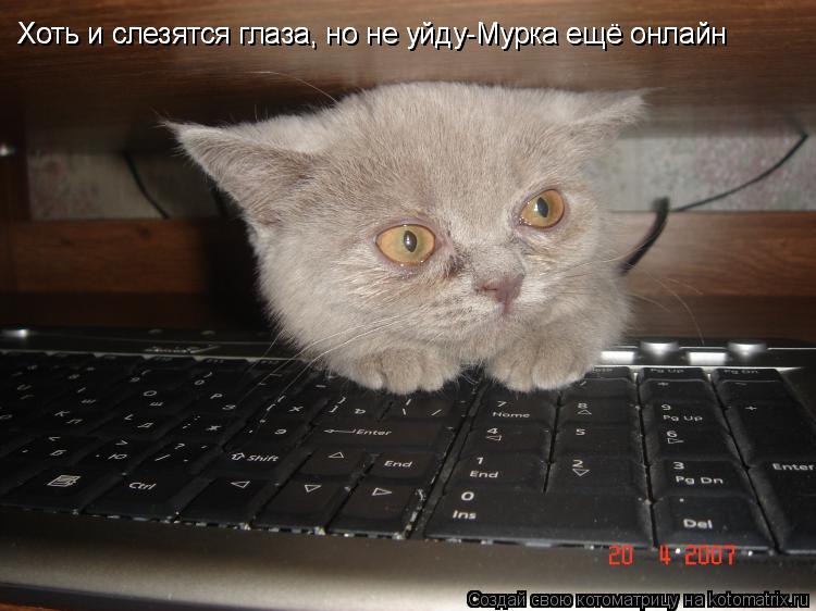 Хоть и слезятся глаза, но не уйду-Мурка ещё онлайн Хоть и слезятся глаза, но не уйду-Мурка ещё онлайн... Котоматрица: Хоть и слезятся глаза, но не уйду-Мурка ещё онлайн Хоть и слезятся глаза, но не уйду-Мурка ещё онлайн