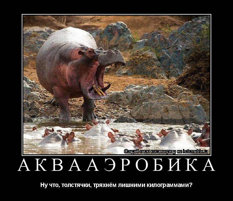Аквааэробика Ну что, толстячки, тряхнём лишними килограммами?... Котоматрица: Аквааэробика Ну что, толстячки, тряхнём лишними килограммами?
