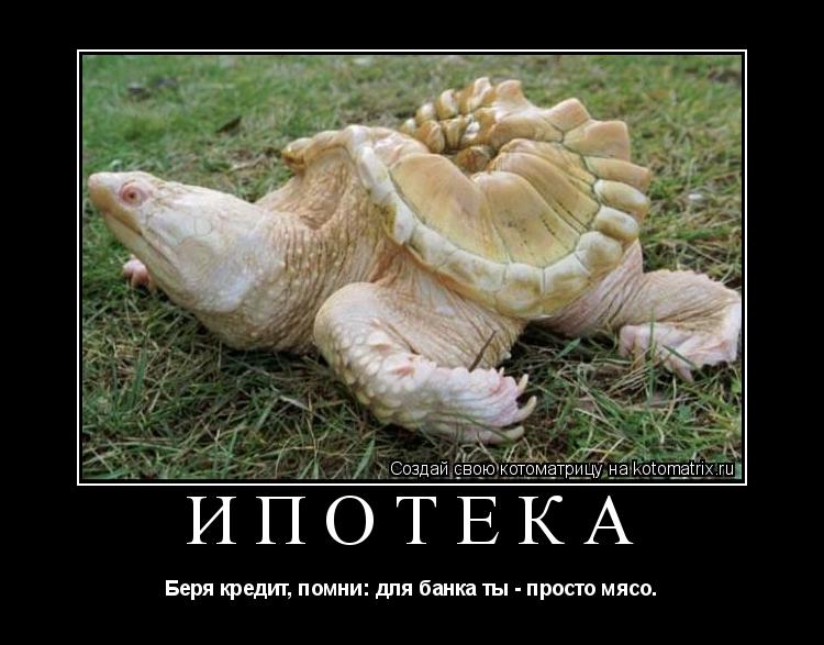 ИПОТЕКА Беря кредит, помни: для банка ты - просто мясо.... Котоматрица: ИПОТЕКА Беря кредит, помни: для банка ты - просто мясо.
