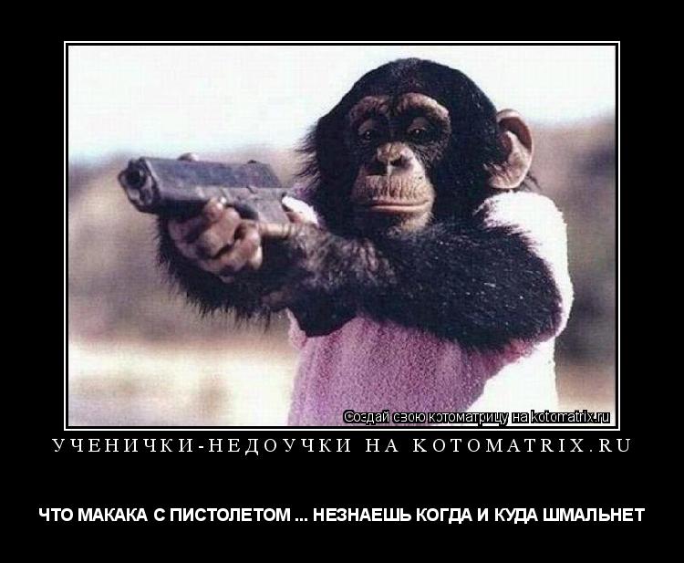 Котоматрица: УЧЕНИЧКИ-НЕДОУЧКИ НА kotomatrix.ru ЧТО МАКАКА С ПИСТОЛЕТОМ ... НЕЗНАЕШЬ КОГДА И КУДА ШМАЛЬНЕТ