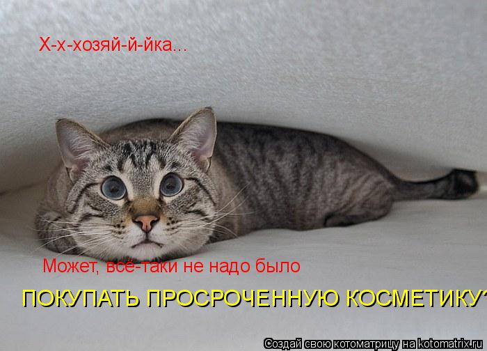 Х-х-хозяй-й-йка... Может, всё-таки не надо было ПОКУПАТЬ ПРОСРОЧЕННУЮ КОСМЕТИКУ?... Котоматрица: Х-х-хозяй-й-йка... Может, всё-таки не надо было ПОКУПАТЬ ПРОСРОЧЕННУЮ КОСМЕТИКУ?