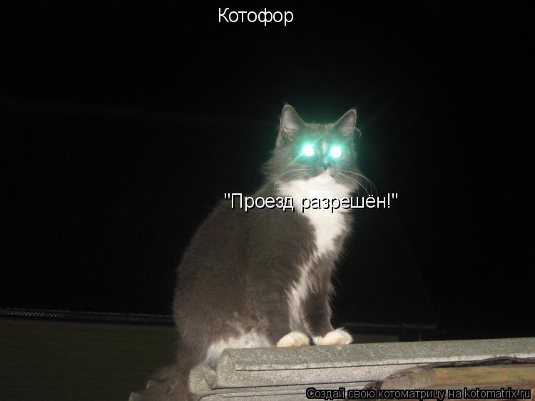 Котофор "Проезд разрешён!"... Котоматрица: Котофор "Проезд разрешён!"