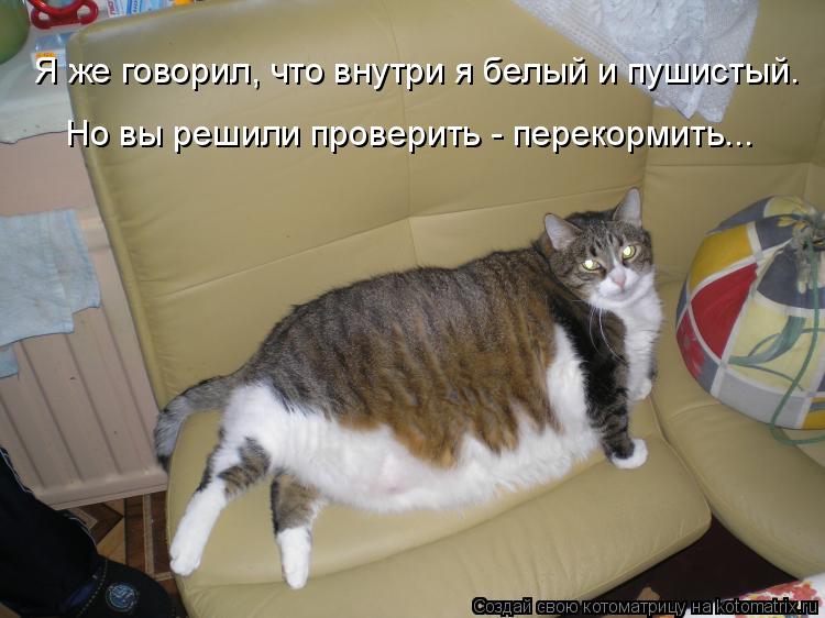 Я же говорил, что внутри я белый и пушистый. Но вы решили проверить - перекормить...... Котоматрица: Я же говорил, что внутри я белый и пушистый. Но вы решили проверить - перекормить...