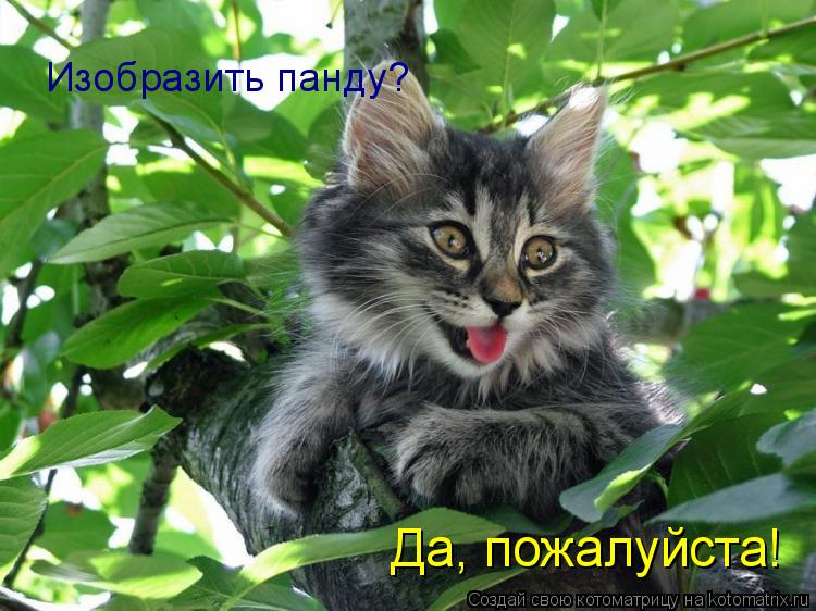 Изобразить панду? Да, пожалуйста!... Котоматрица: Изобразить панду? Да, пожалуйста!