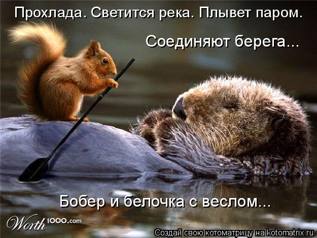 Прохлада. Светится река. Плывет паром. Соединяют берега... Бобер и белочка с веслом...... Котоматрица: Прохлада. Светится река. Плывет паром. Соединяют берега... Бобер и белочка с веслом...