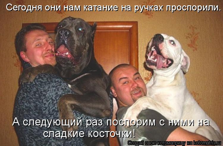 А следующий раз поспорим с ними на сладкие косточки! Сегодня они нам катание на ручках проспорили.... Котоматрица: А следующий раз поспорим с ними на сладкие косточки! Сегодня они нам катание на ручках проспорили.