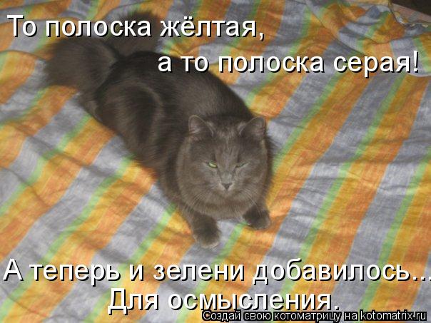 То полоска жёлтая, а то полоска серая! А теперь и зелени добавилось... Для осмысления.... Котоматрица: То полоска жёлтая, а то полоска серая! А теперь и зелени добавилось... Для осмысления.