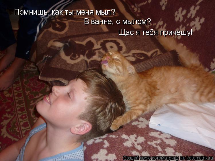 Помнишь, как ты меня мыл? В ванне, с мылом? Щас я тебя причешу!... Котоматрица: Помнишь, как ты меня мыл? В ванне, с мылом? Щас я тебя причешу!