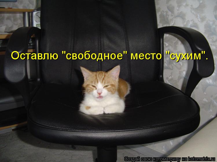 Оставлю "свободное" место "сухим".... Котоматрица: Оставлю "свободное" место "сухим".